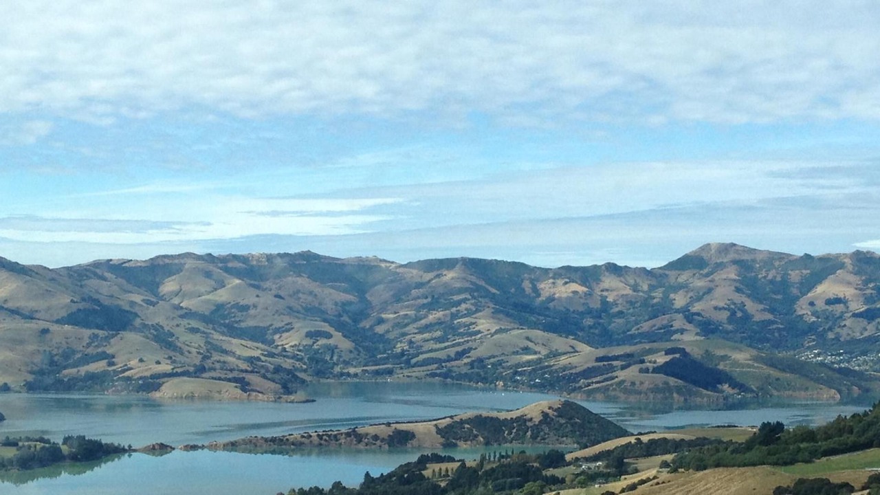 Photo of Outdoor in Akaroa