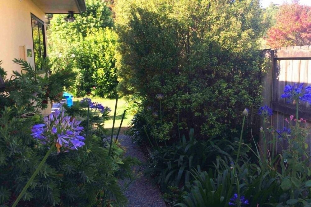 Photo of Outdoor in Ngaio Bay