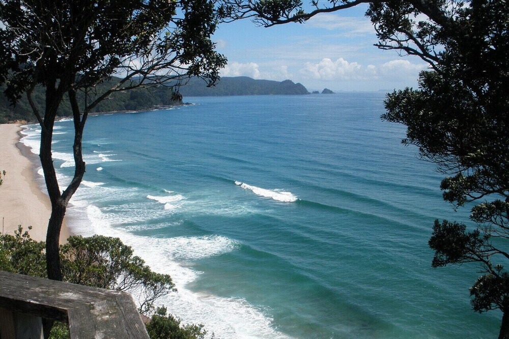 Photo of Others in Tairua