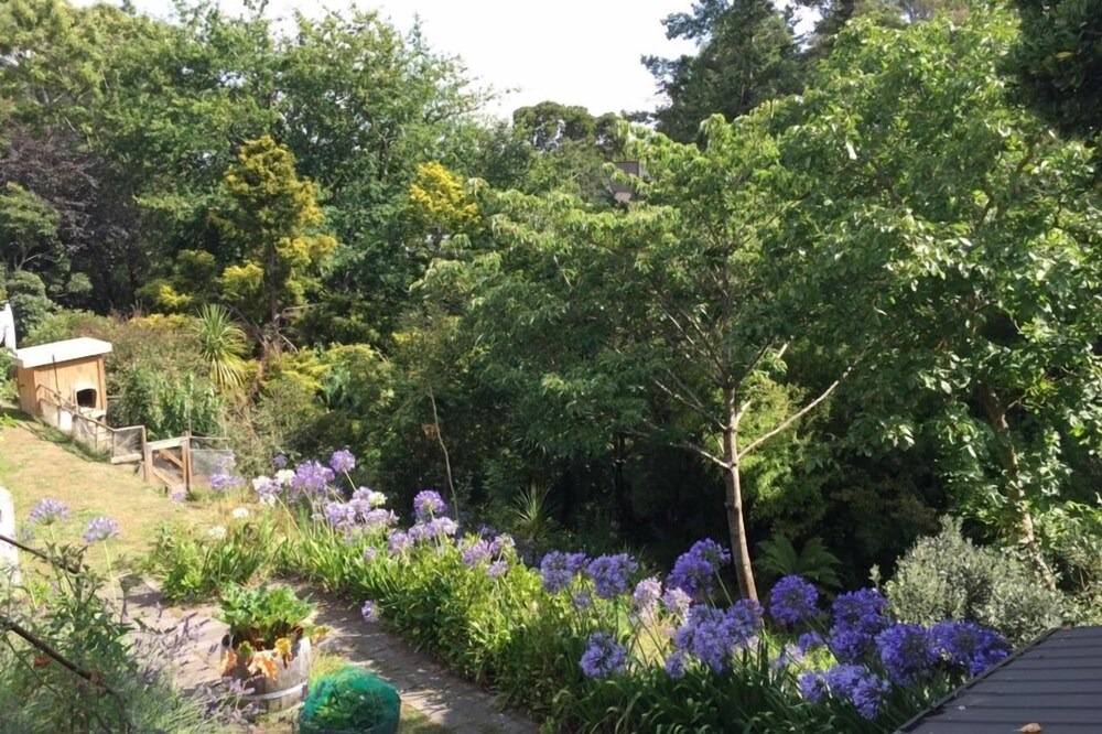 Photo of Outdoor in Havelock North
