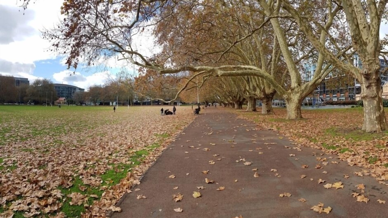 Photo of Outdoor in Auckland Central Business District