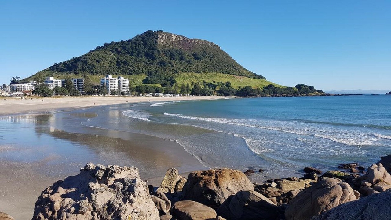Photo of Others in Omokoroa