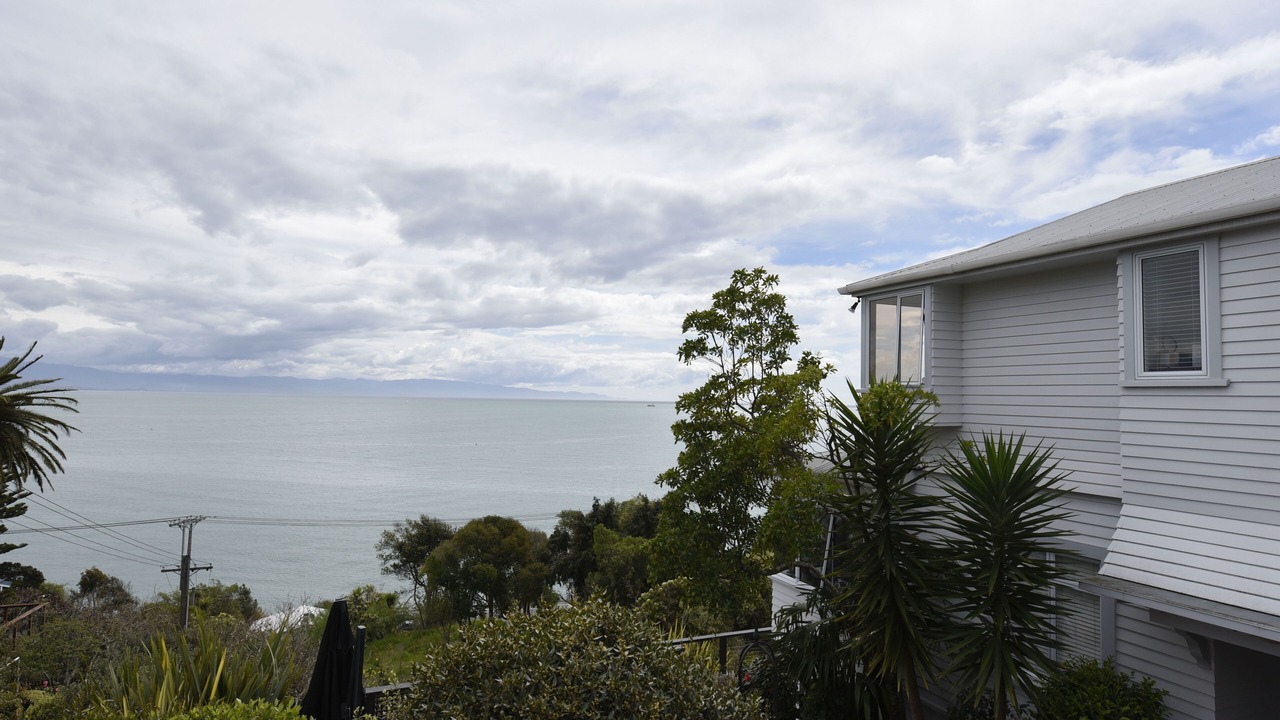 Photo of Others in Tahunanui