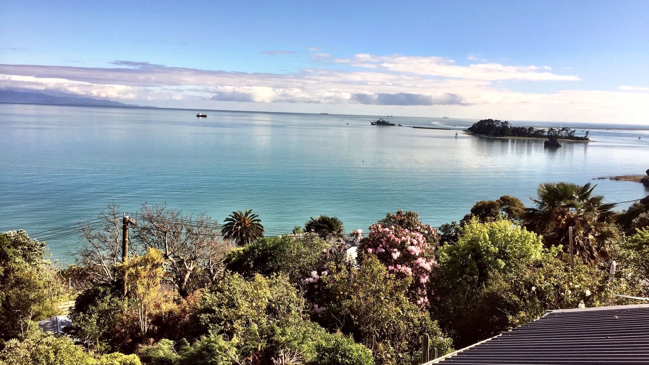 Photo of Others in Tahunanui