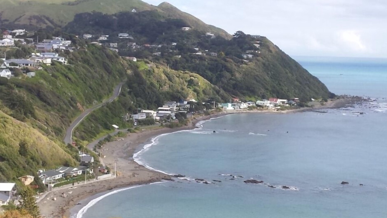 Photo of Others in Paekakariki