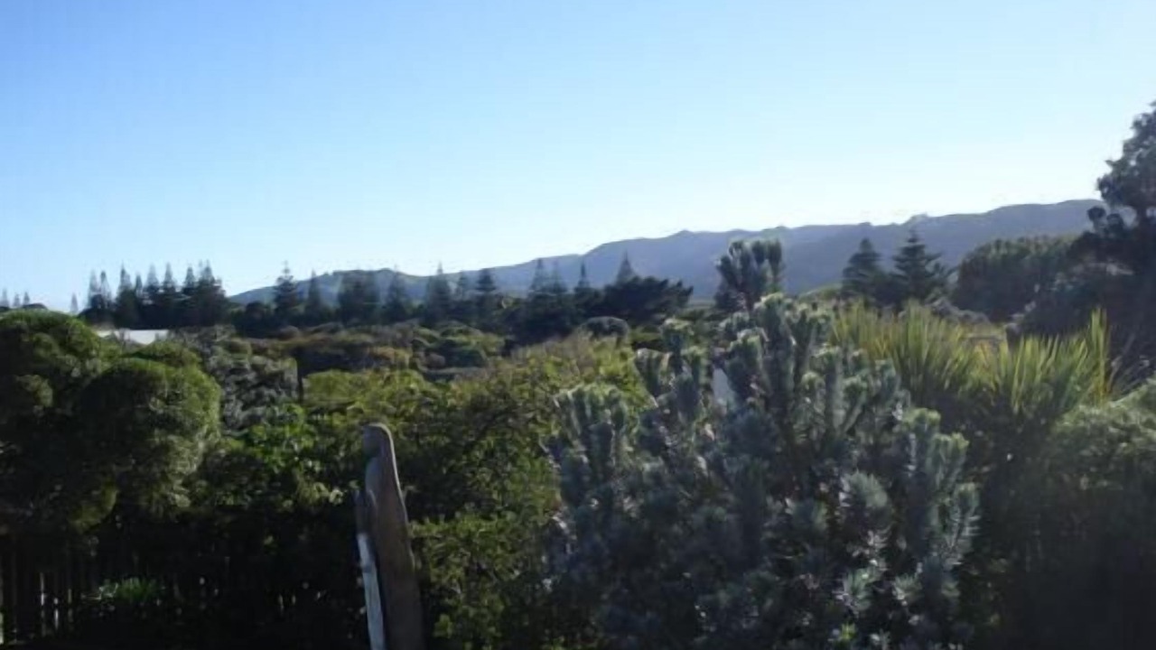 Photo of Outdoor in Paekakariki