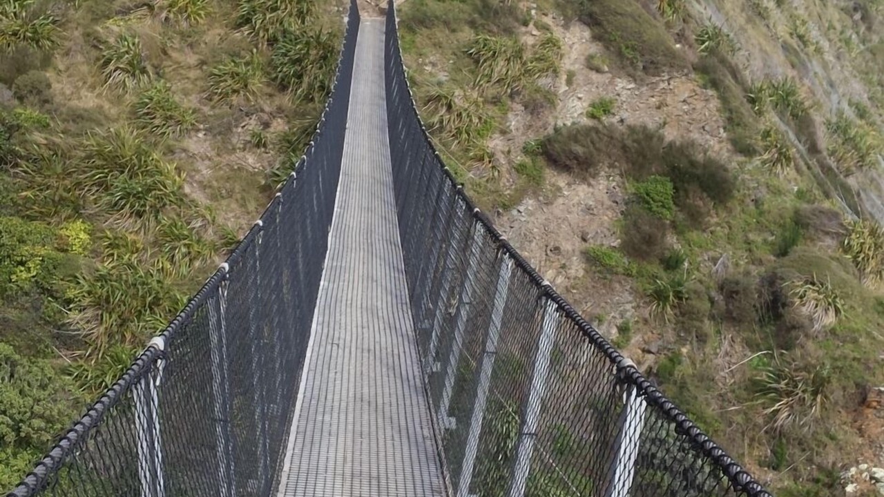 Photo of Others in Paekakariki