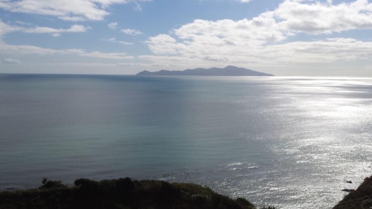 Photo of Others in Paekakariki