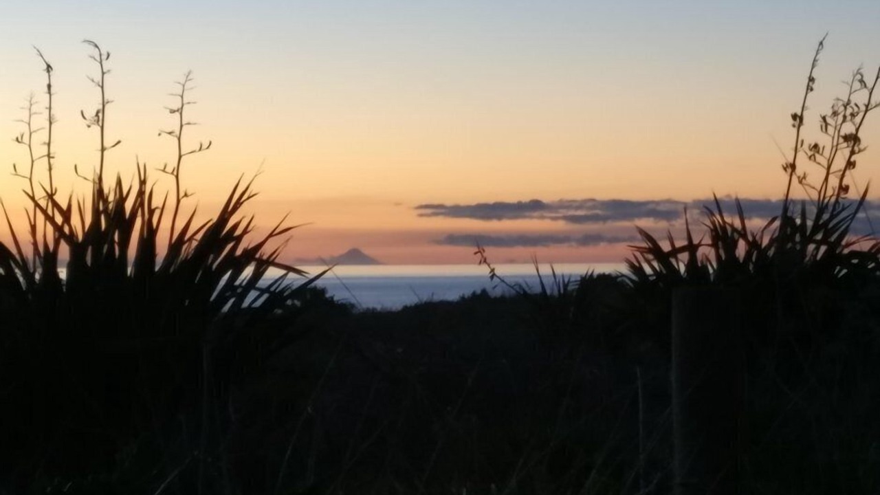Photo of Patio Balcony in Waitarere Beach
