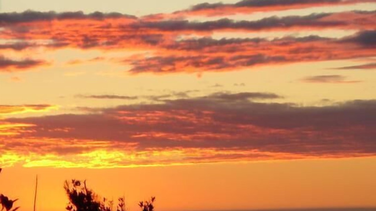 Photo of Others in Piha