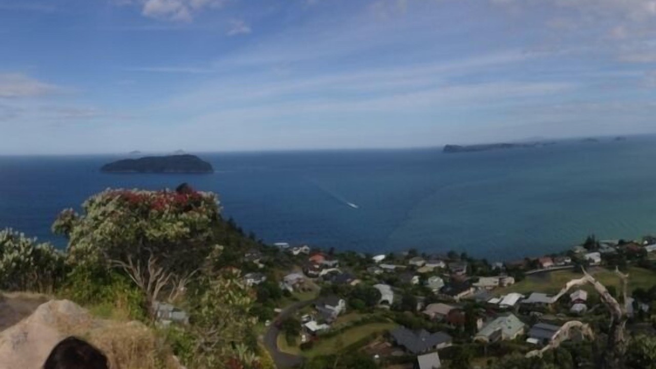 Photo of Others in Tairua