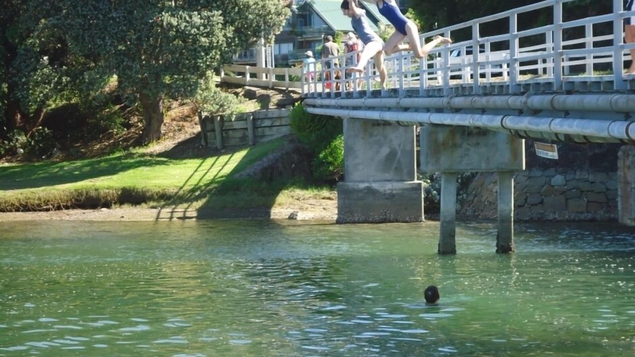 Photo of Outdoor in Tairua