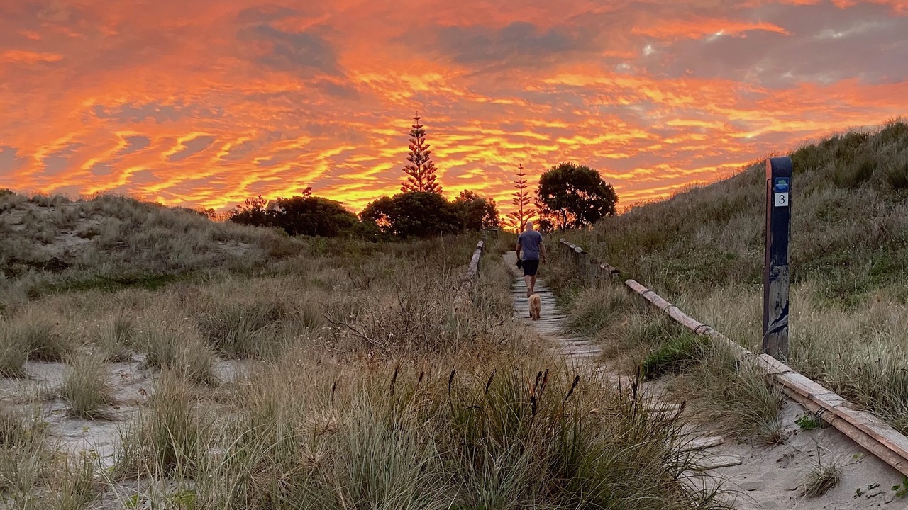 Photo of Others in Tairua