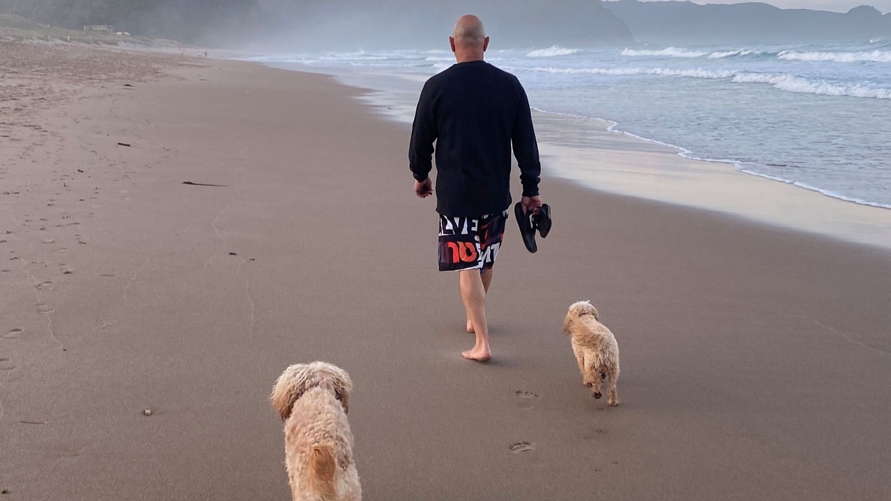 Photo of Others in Tairua