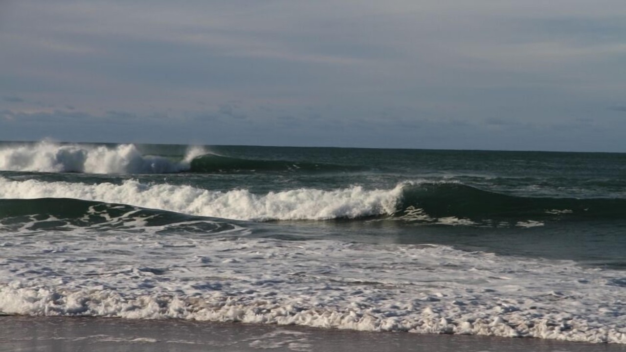 Photo of Others in Tairua