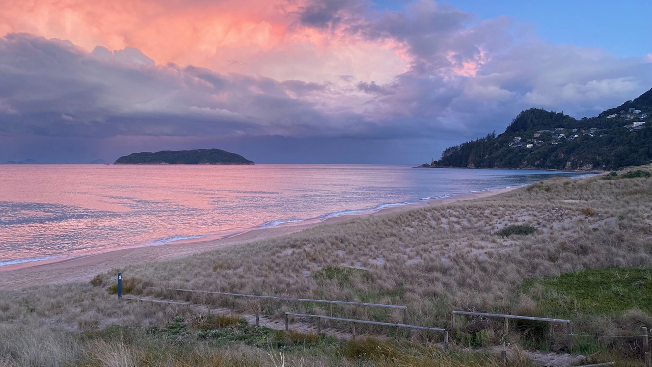 Photo of Others in Tairua