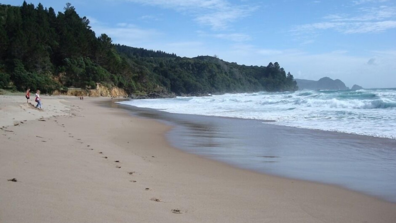 Photo of Others in Tairua