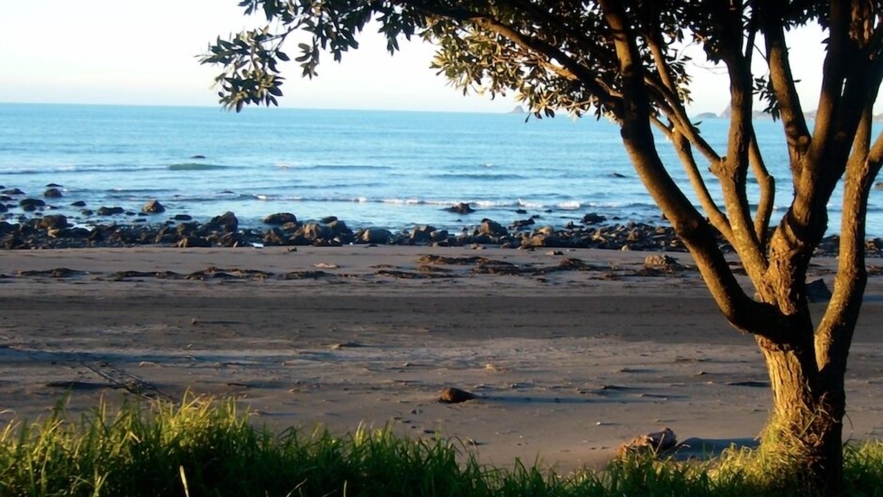 Photo of Others in Kaitake