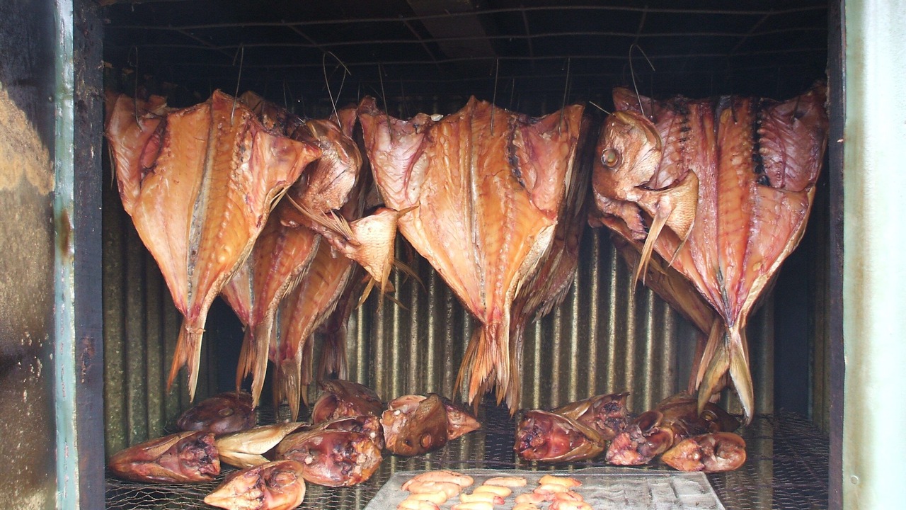 Photo of Others in Coromandel