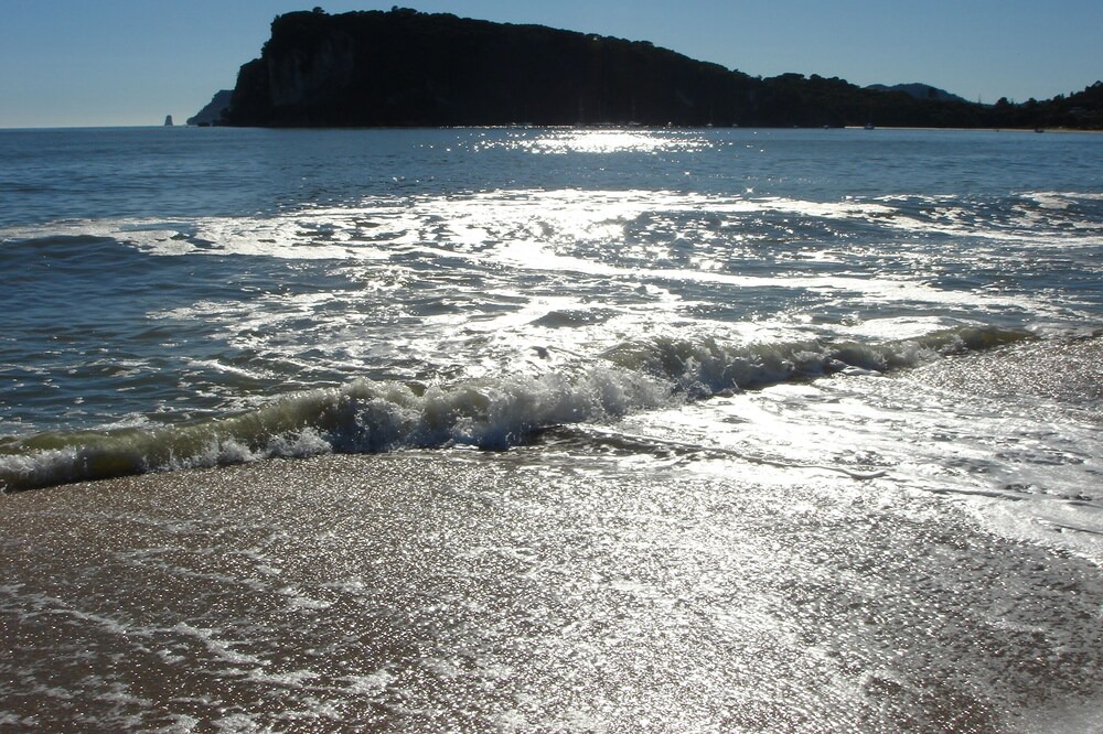 Photo of Others in Cooks Beach