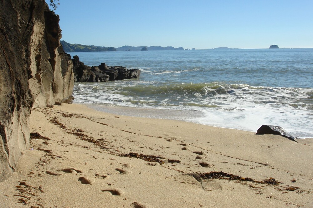 Photo of Others in Cooks Beach