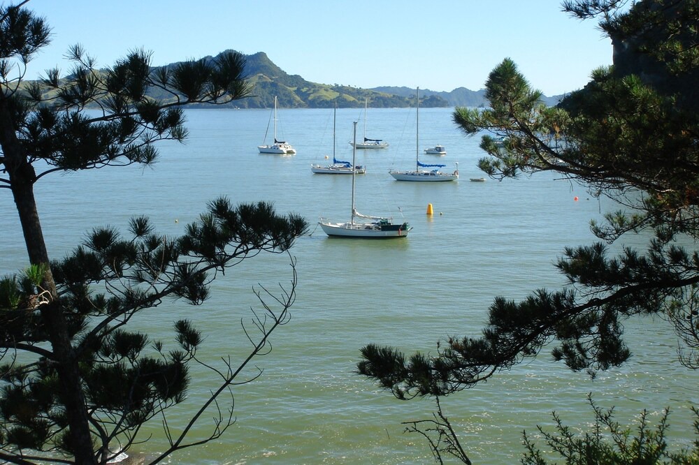 Photo of Outdoor in Cooks Beach