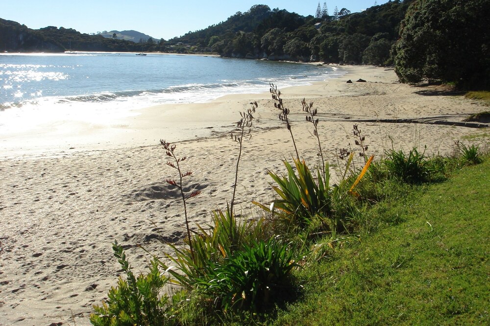Photo of Others in Cooks Beach