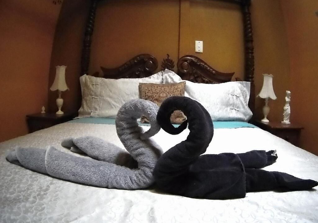 Photo of Bedroom in Picton