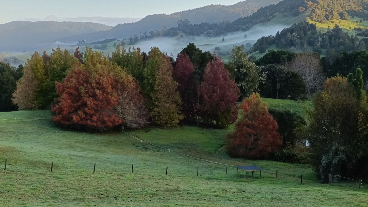 Photo of Outdoor in Okaihau