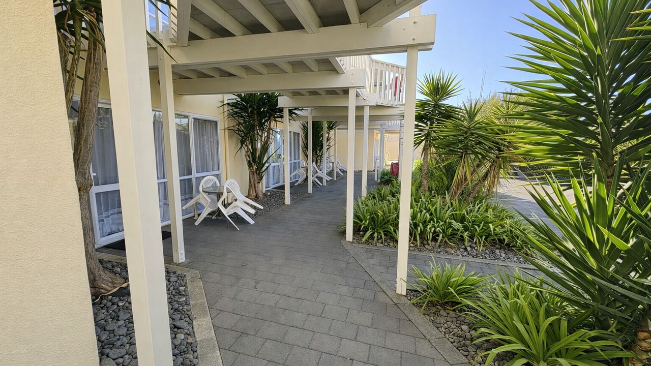 Photo of Others in Napier