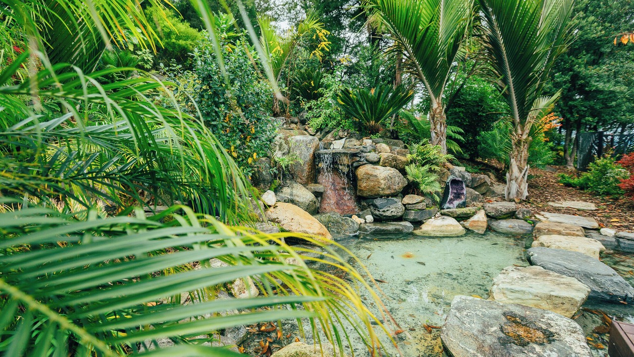 Photo of Outdoor in Ngaio Bay