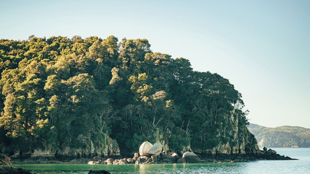 Photo of Others in Ngaio Bay