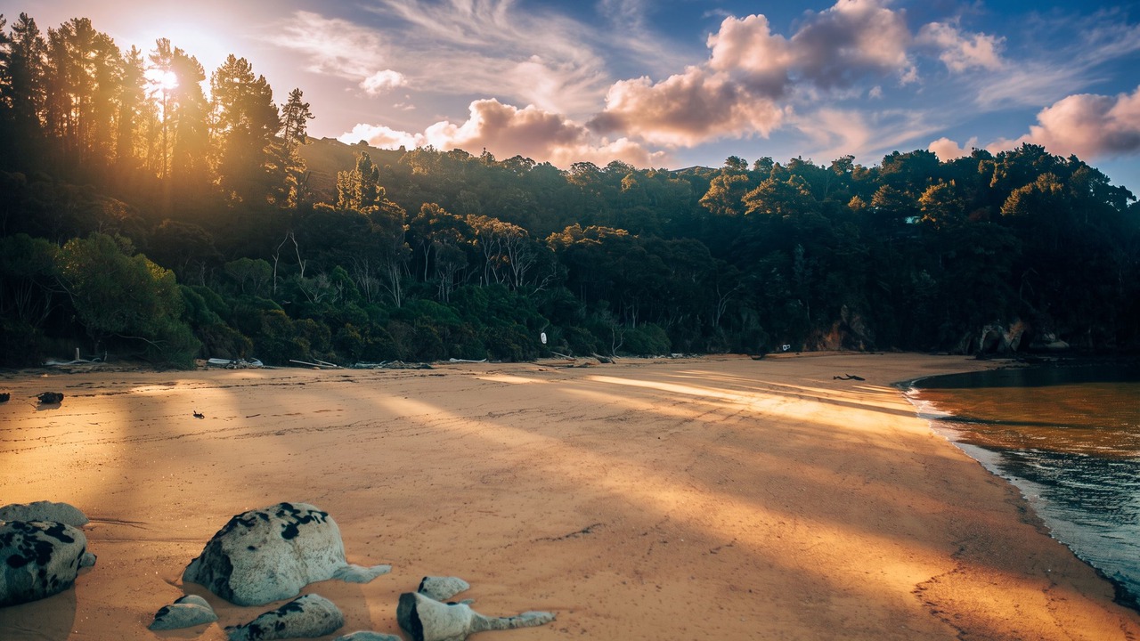 Photo of Others in Ngaio Bay