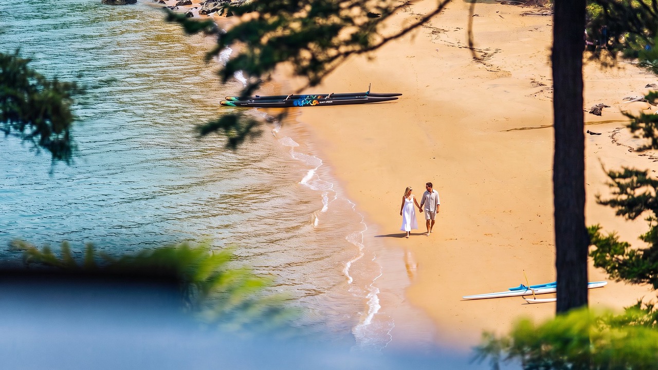 Photo of Others in Ngaio Bay