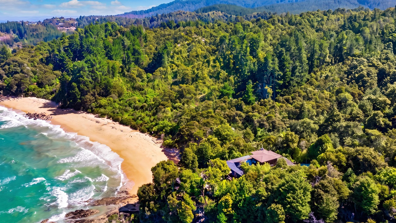Photo of Others in Ngaio Bay