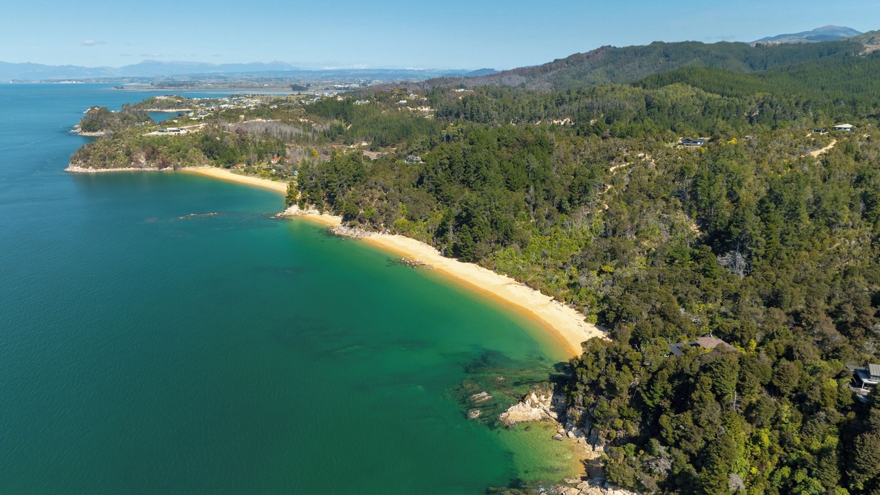 Photo of Others in Ngaio Bay