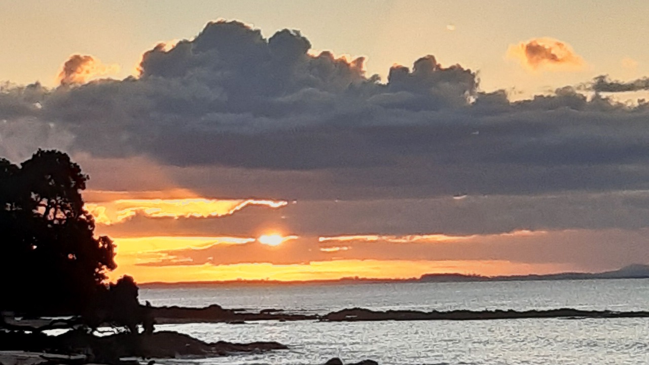 Photo of Others in Cable Bay