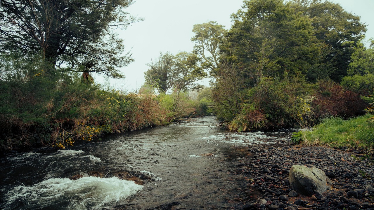 Photo of Outdoor in Ohakune