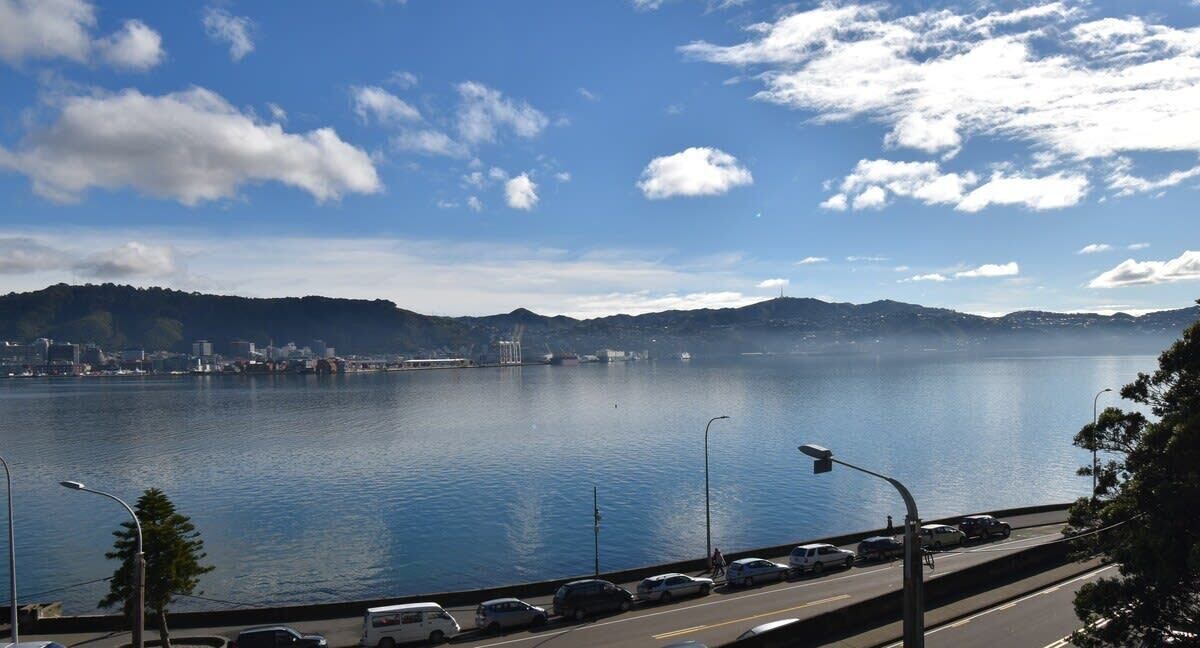 Photo of Others in Oriental Bay