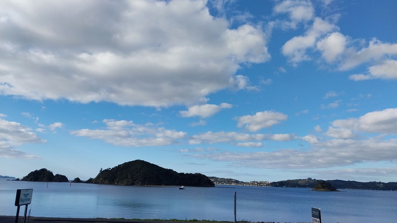 Photo of Others in Paihia