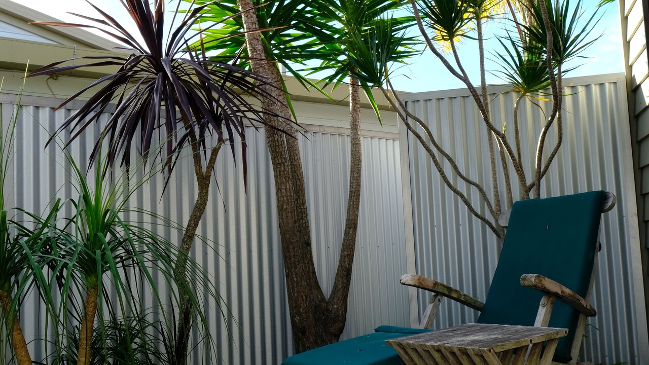Photo of Outdoor in Tairua
