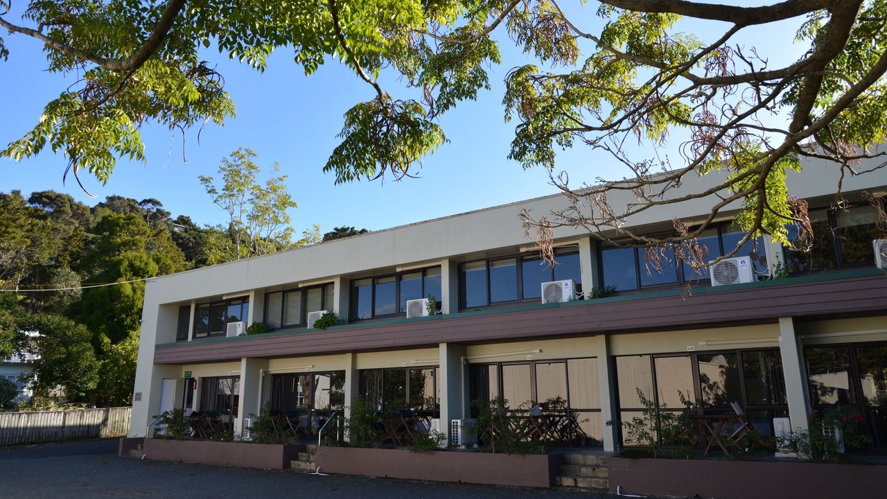 Photo of Outdoor in Paihia