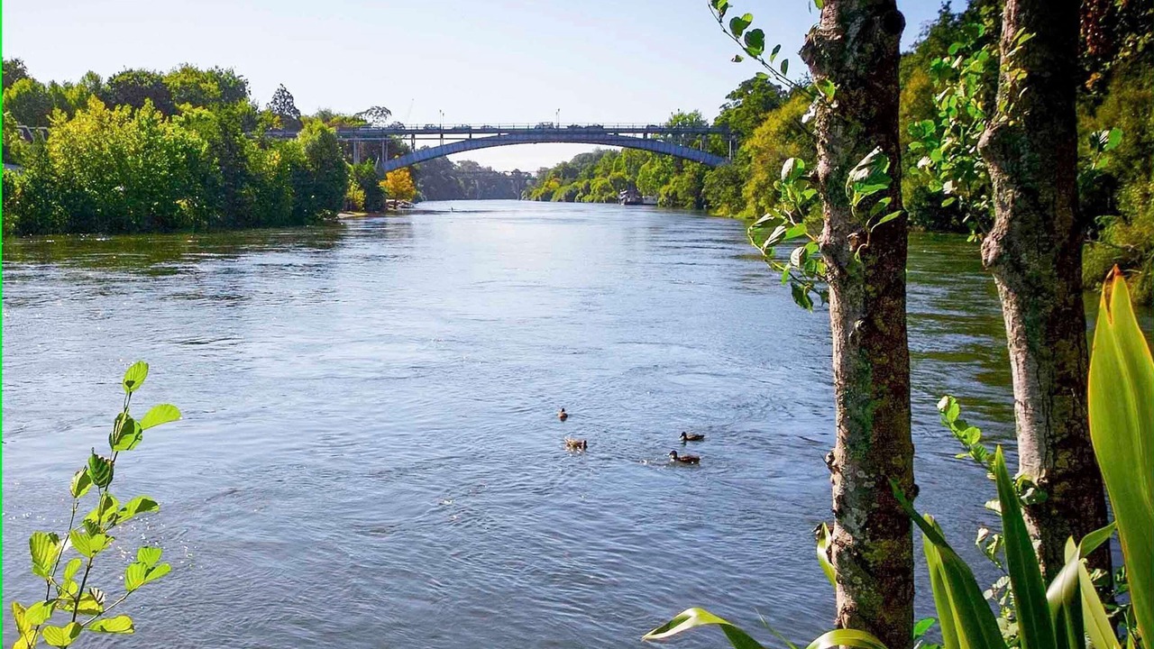 Photo of Others in Hamilton