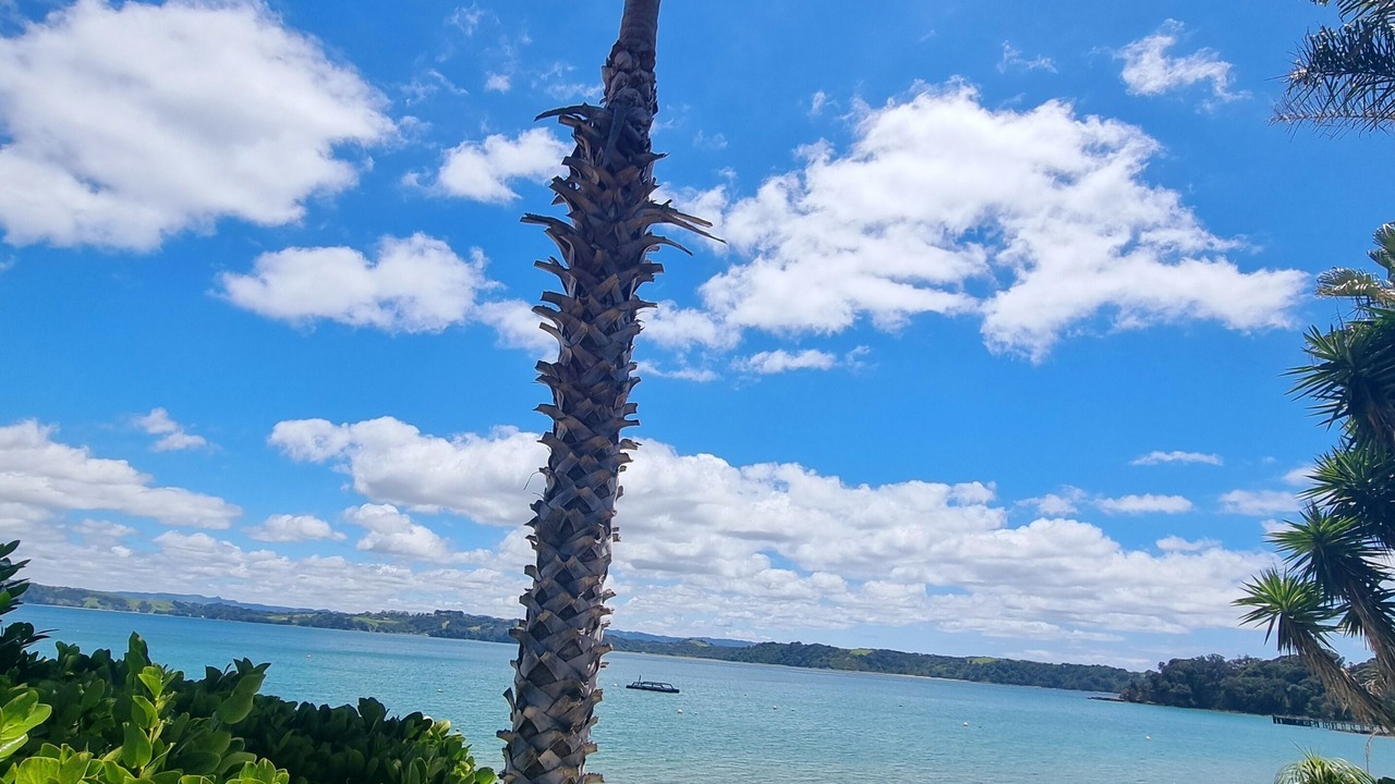 Photo of Others in Kawau Island