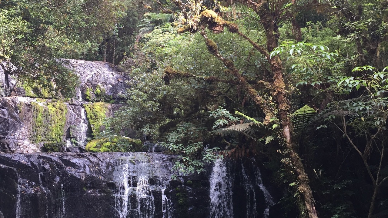 Photo of Others in Kaka Point