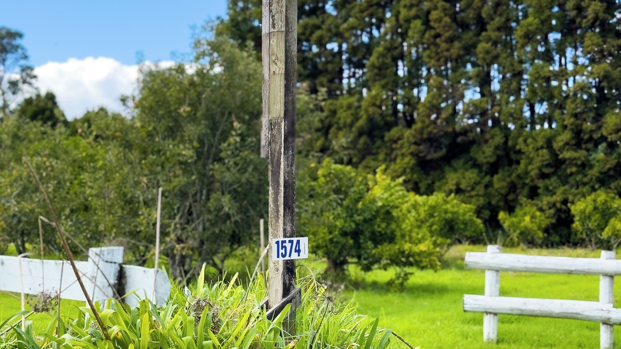 Photo of Others in Kerikeri