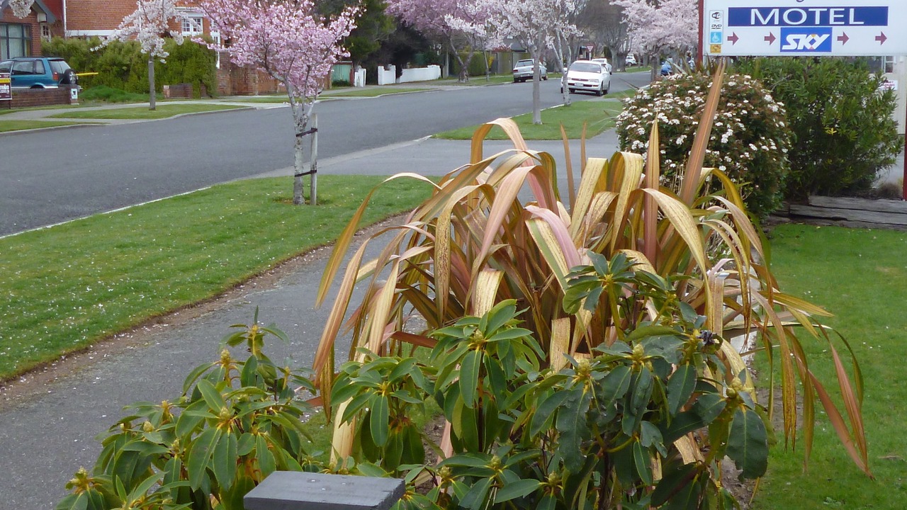 Photo of Others in Invercargill