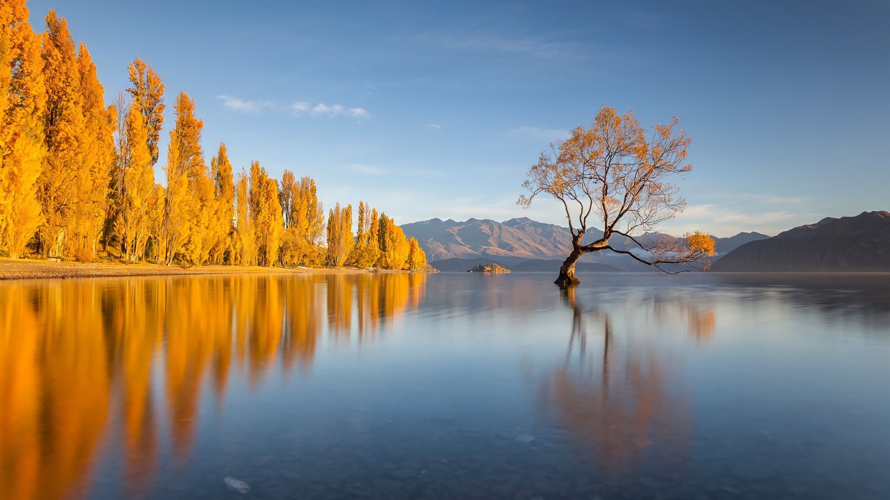 Photo of Outdoor in Wanaka