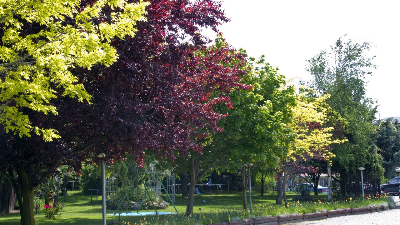 Photo of Outdoor in Wanaka