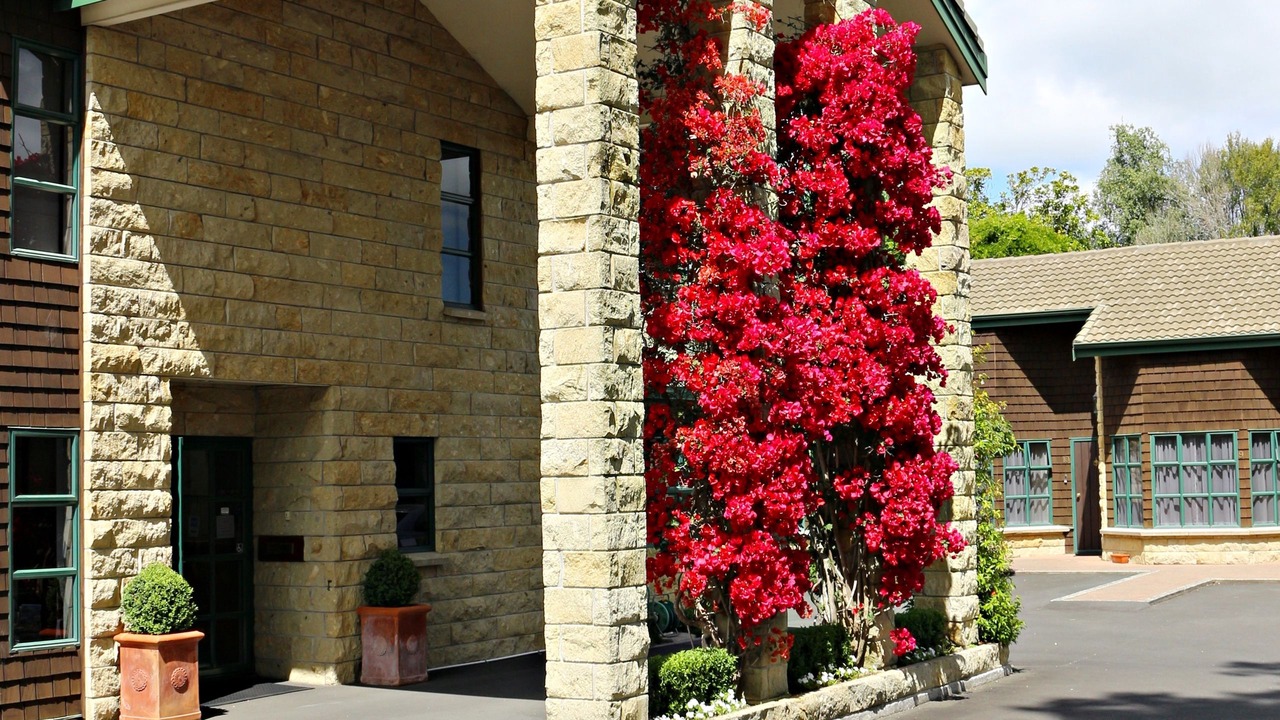 Photo of Outdoor in Cambridge